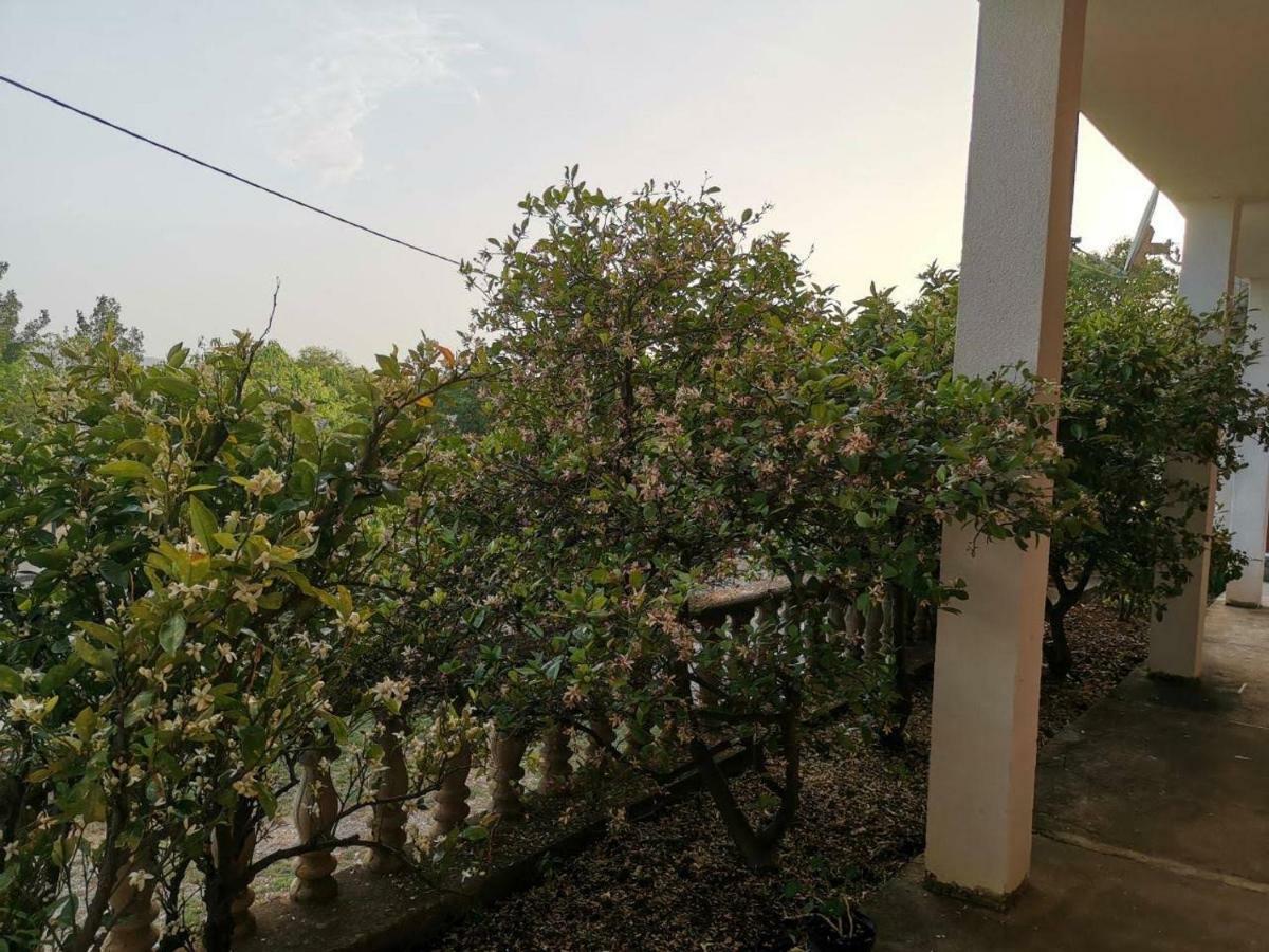 Apartmani Spomenka Seline Εξωτερικό φωτογραφία