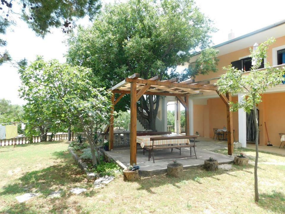 Apartmani Spomenka Seline Εξωτερικό φωτογραφία