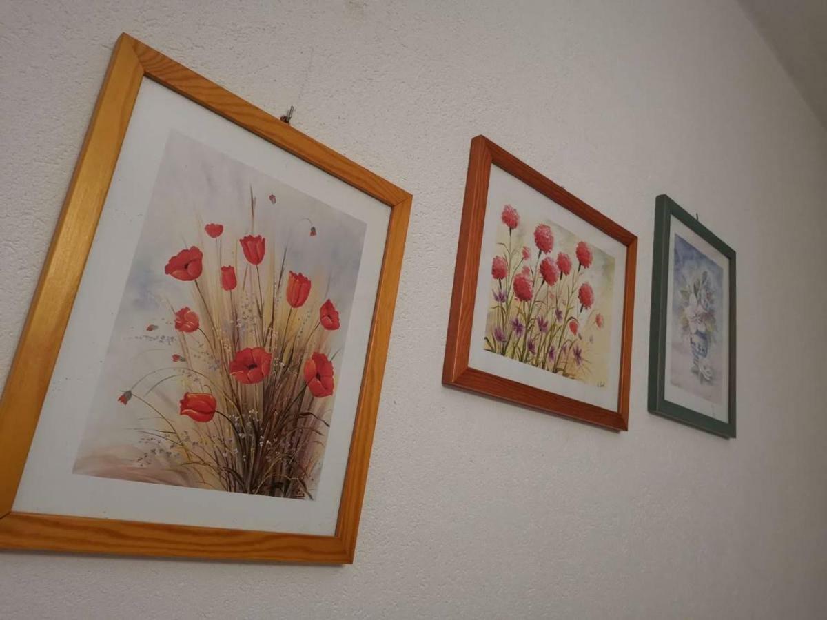 Apartmani Spomenka Seline Εξωτερικό φωτογραφία