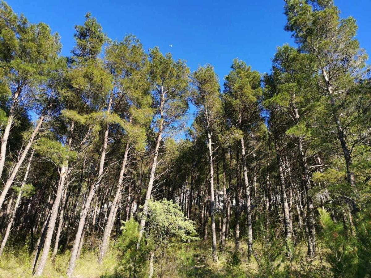 Apartmani Spomenka Seline Εξωτερικό φωτογραφία